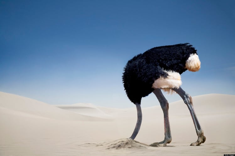 ostrich-in-sand.jpg