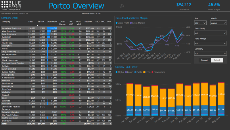 portfolio company overview